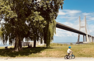 A child wearing a blue helmet rides a bicycle on a paved path. A large green tree with overhanging branches stands on the grassy area beside the path, providing shade to two people sitting underneath it. In the background, a large cable-stayed bridge stretches across the scene with the sky and water visible beyond it.