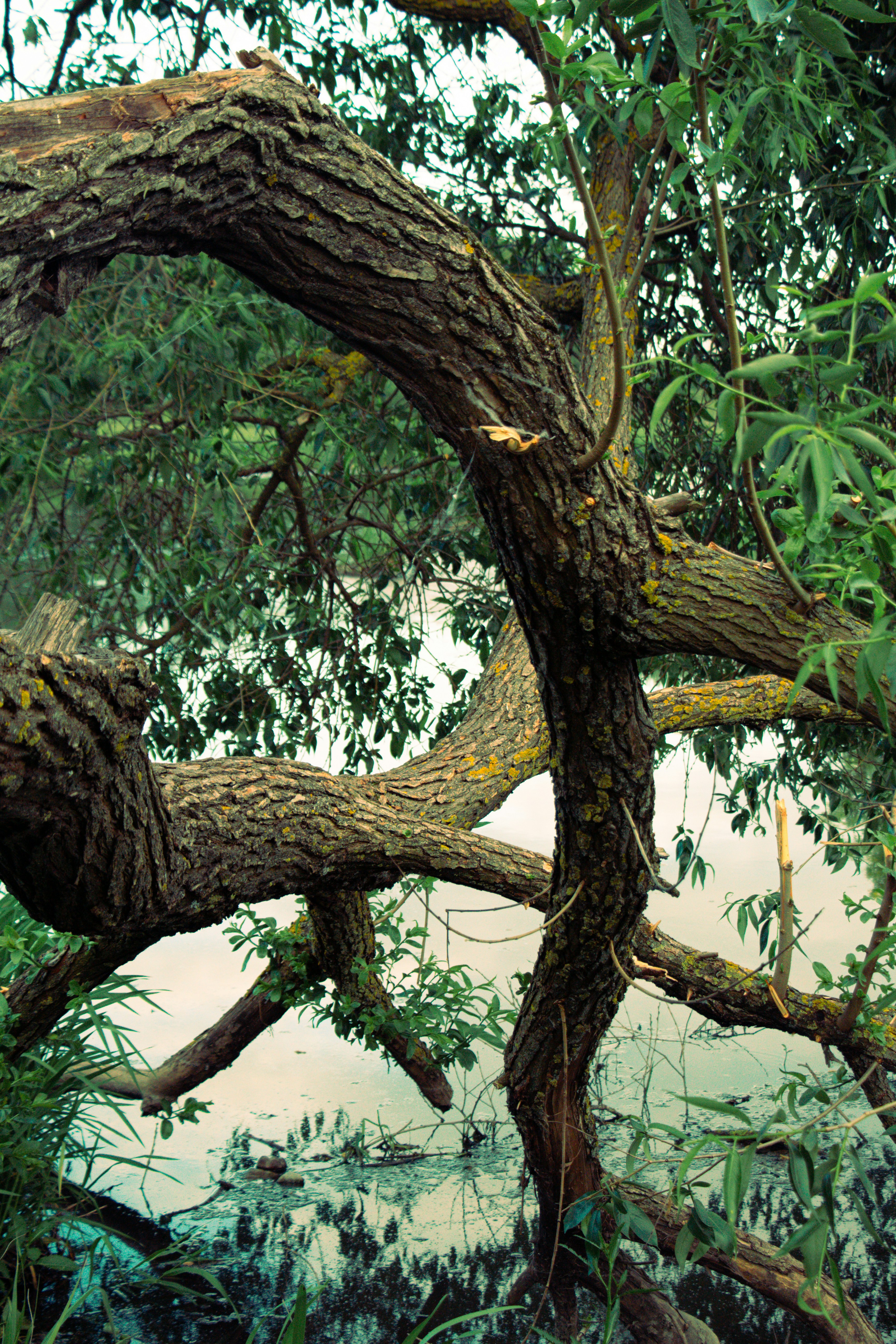 Photo by valeria_klys