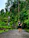 A happy middle-aged man standing proudly next to his newly built garden pathway surrounded by lush greenery.