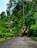 A happy middle-aged man standing proudly next to his newly built garden pathway surrounded by lush greenery.