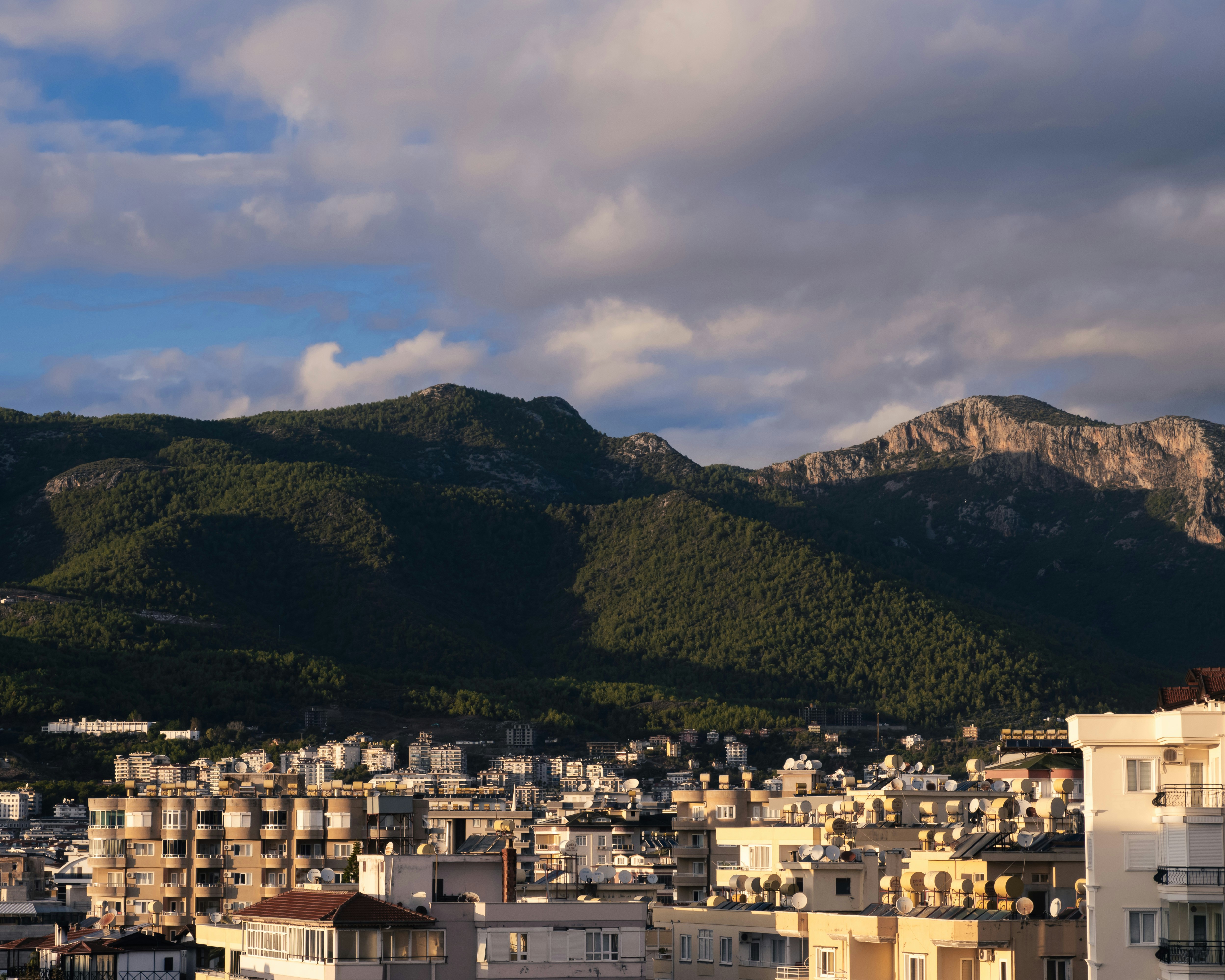 Containers in Corsicana, TX