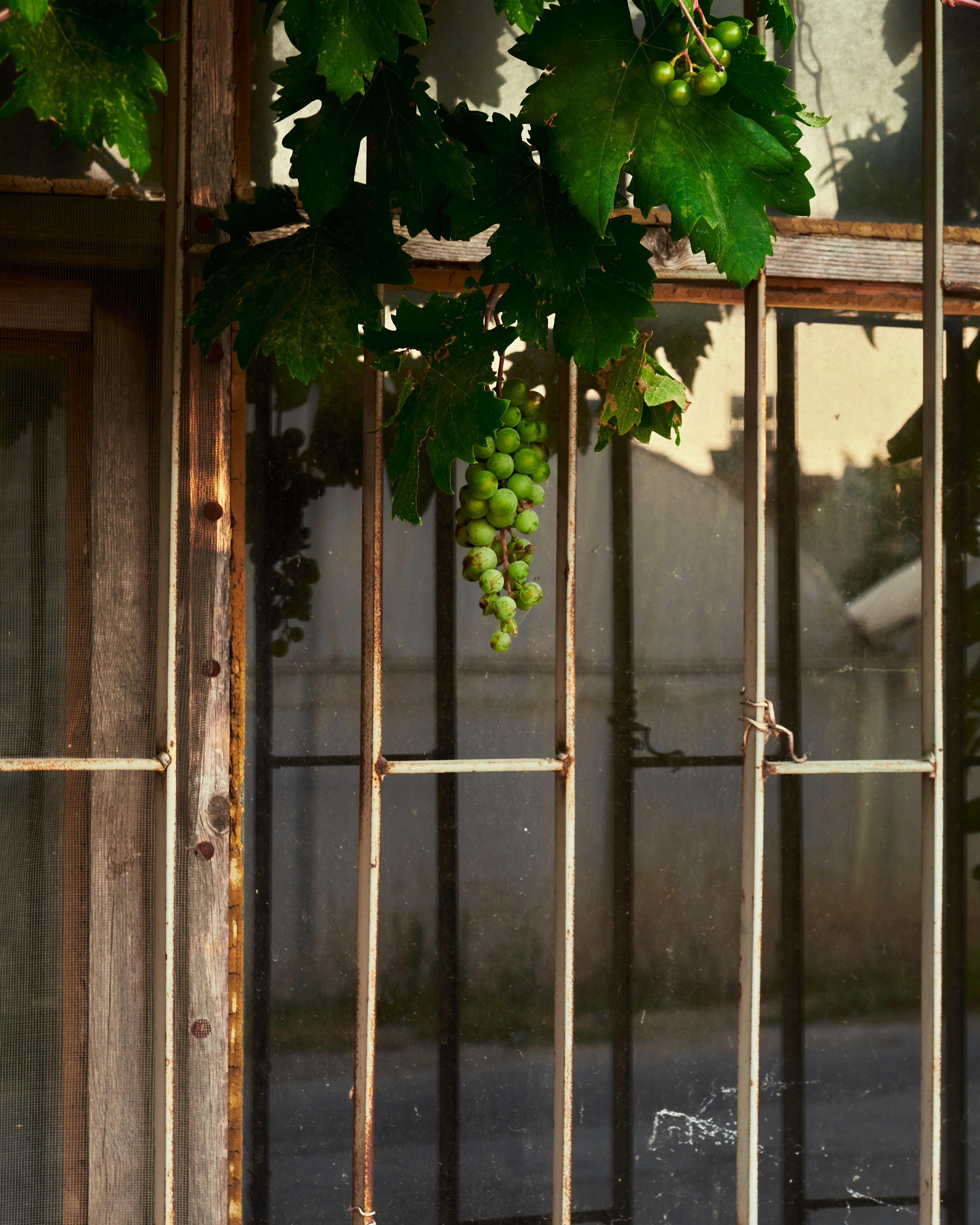 Photo by dimatarnovski