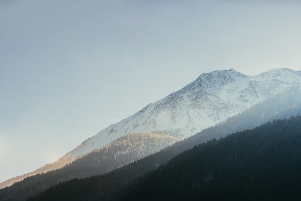 a snow covered mountain with trees in the foreground