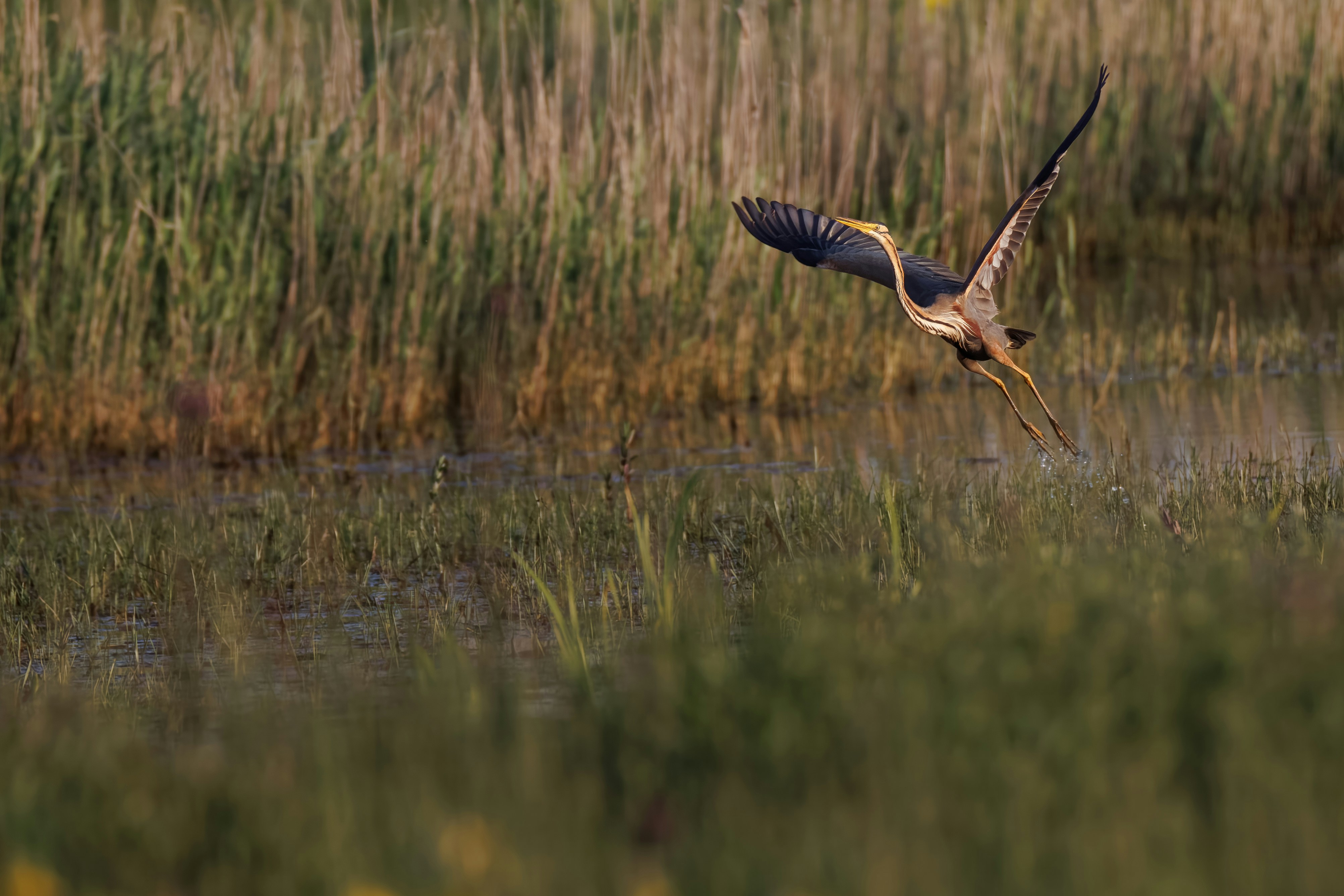 Photo by vincentvanzalinge