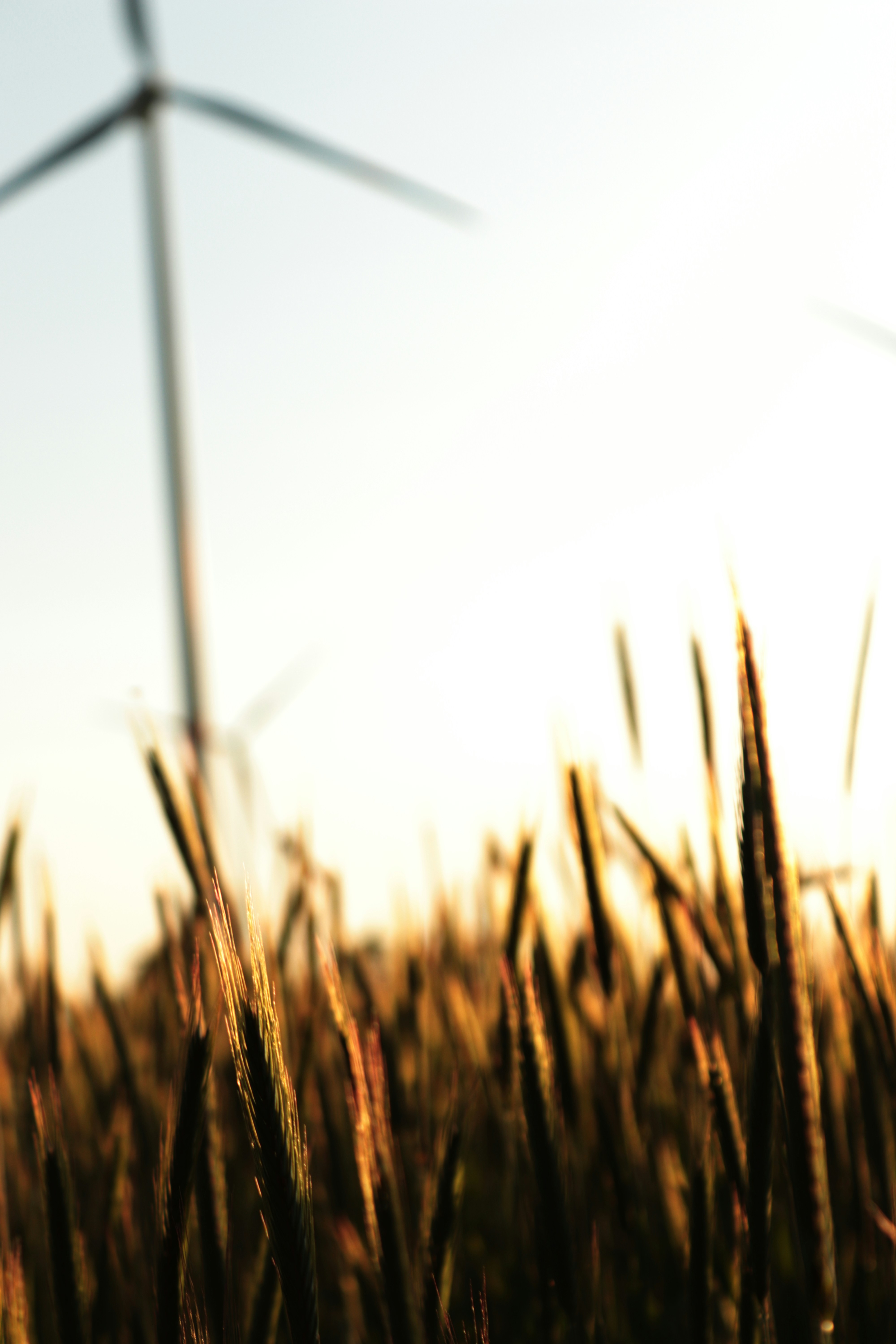 Photo by larsportjanow