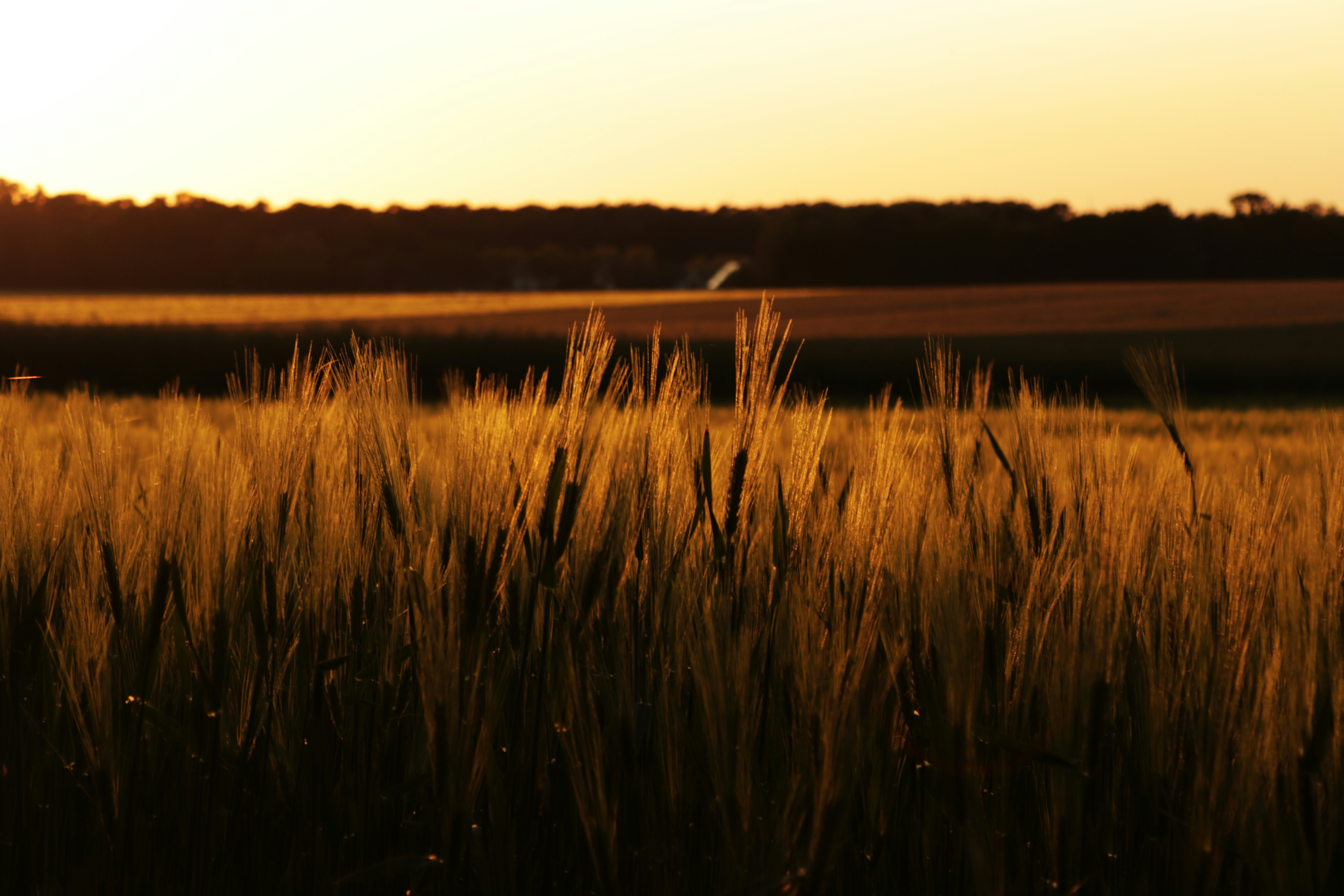 Photo by larsportjanow