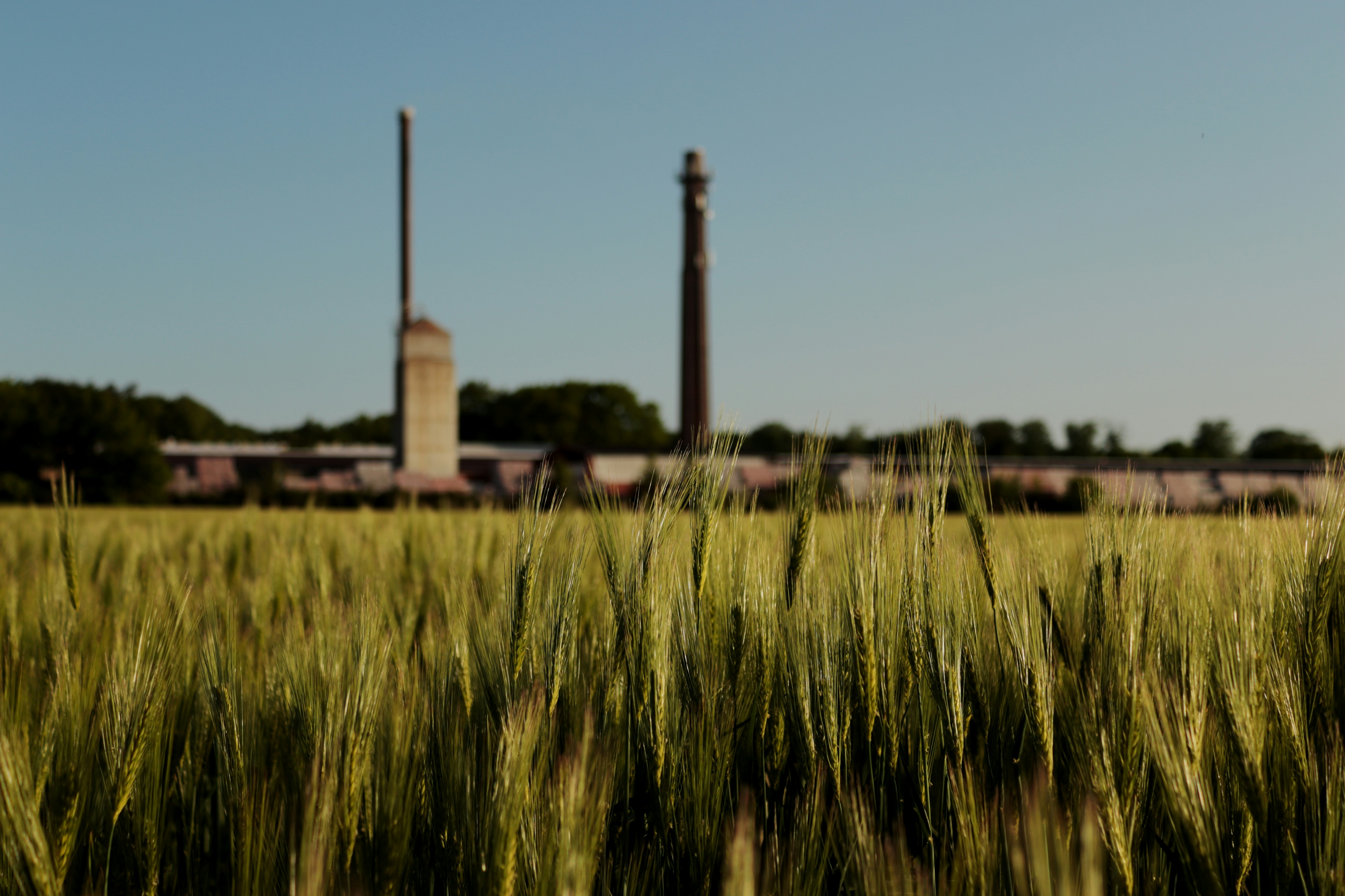 Fertilizer production facility