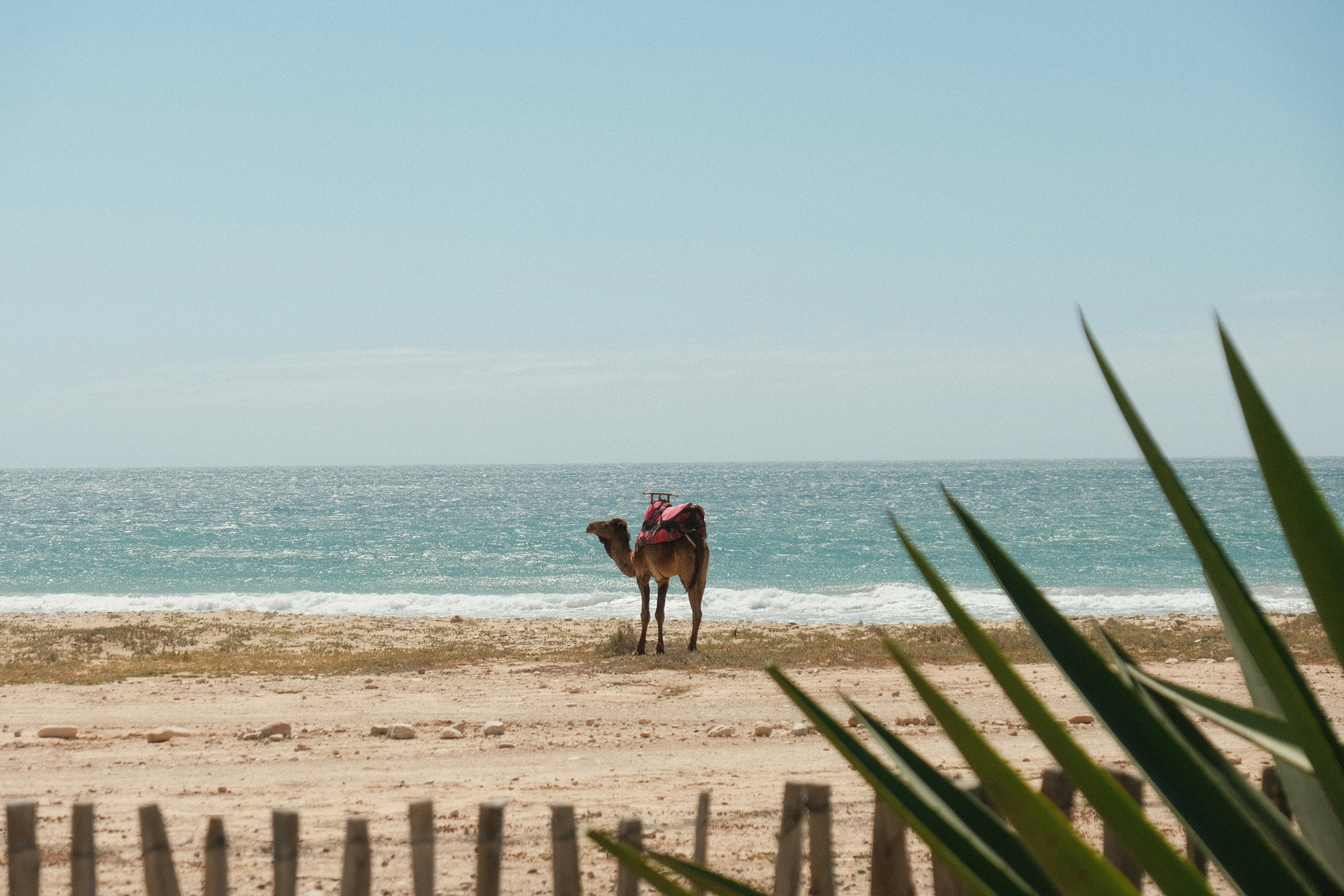 Photo by marie_verschueren