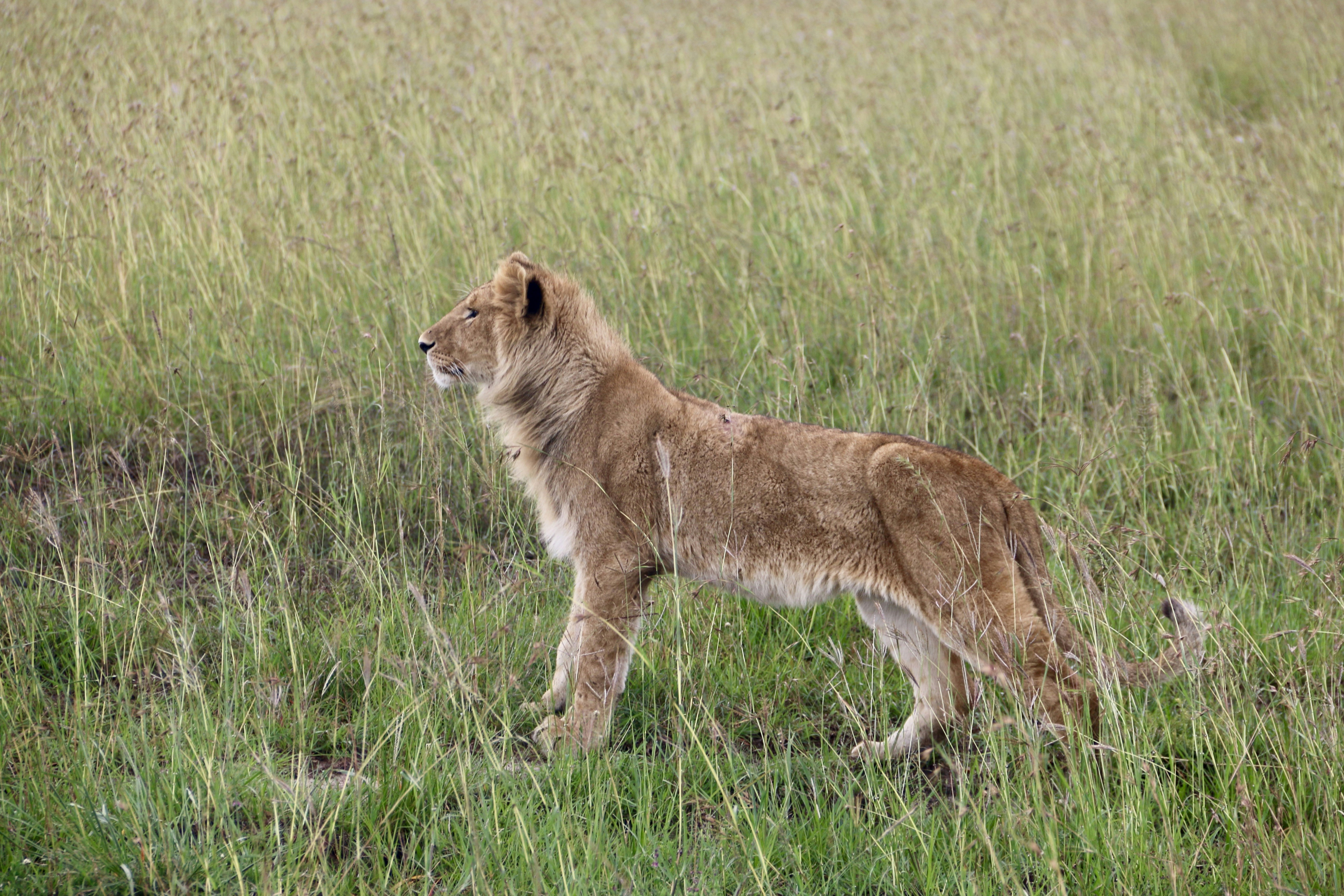 Photo by polinakoroleva