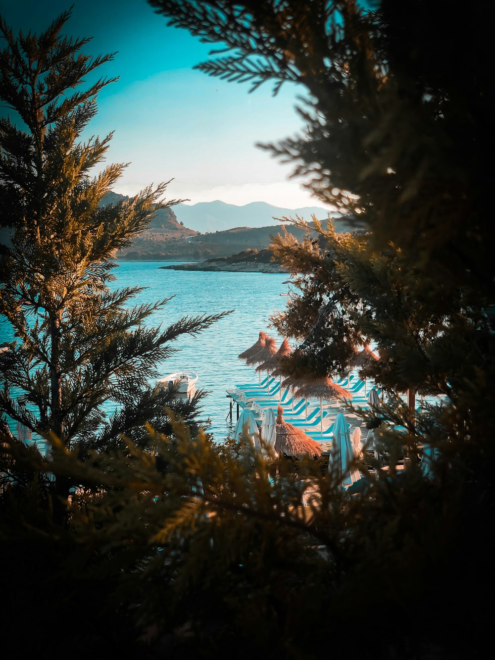 a view of a body of water through some trees