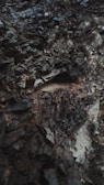 A close-up view of rugged, dark rock layers with a rough texture, displaying various shades of gray and brown. The surface appears uneven and jagged, suggesting geological formations over time.