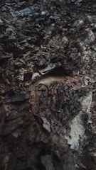 A close-up view of rugged, dark rock layers with a rough texture, displaying various shades of gray and brown. The surface appears uneven and jagged, suggesting geological formations over time.