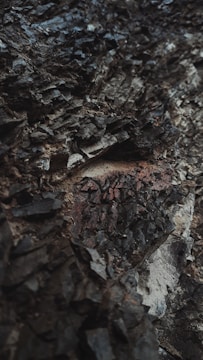A close-up view of rugged, dark rock layers with a rough texture, displaying various shades of gray and brown. The surface appears uneven and jagged, suggesting geological formations over time.