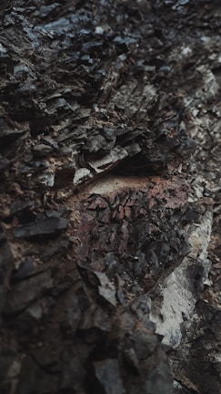 A close-up view of rugged, dark rock layers with a rough texture, displaying various shades of gray and brown. The surface appears uneven and jagged, suggesting geological formations over time.
