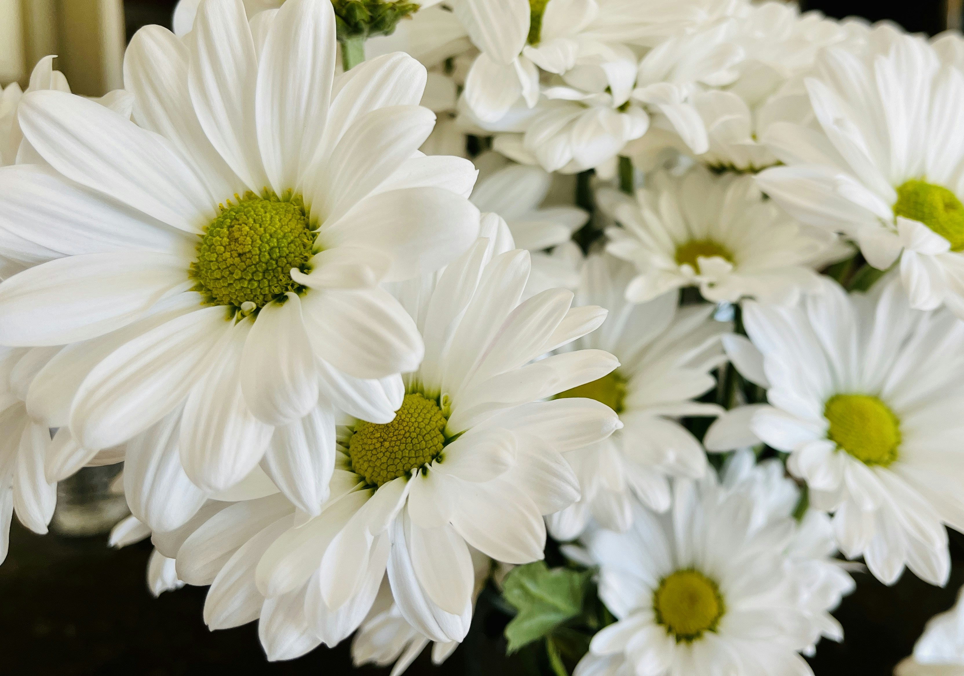 Photo by jackieoco13