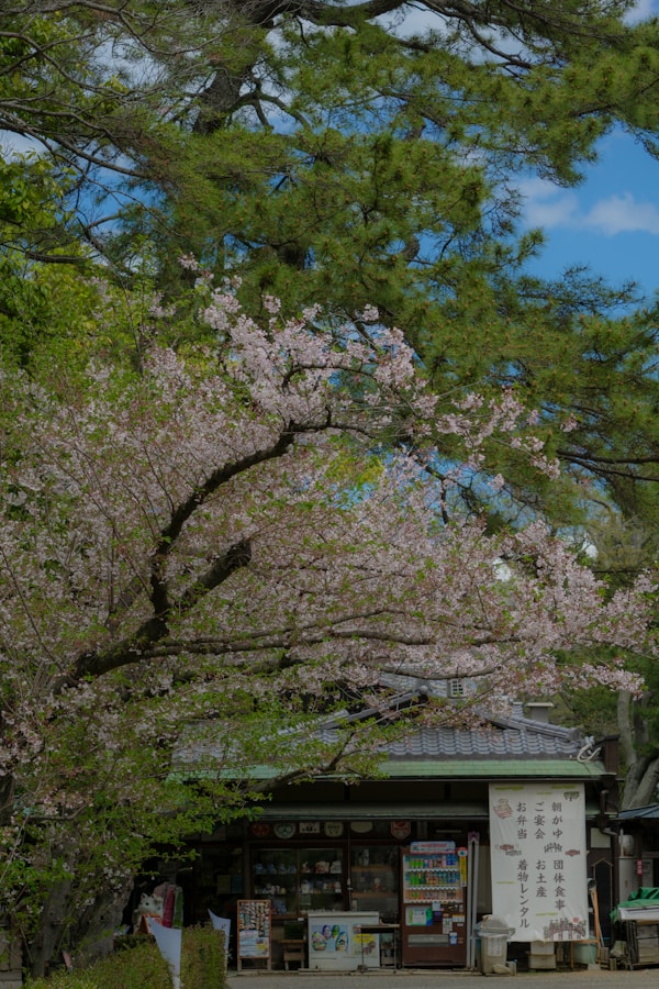 What to See in Takamatsu: A Comprehensive Travel Guide