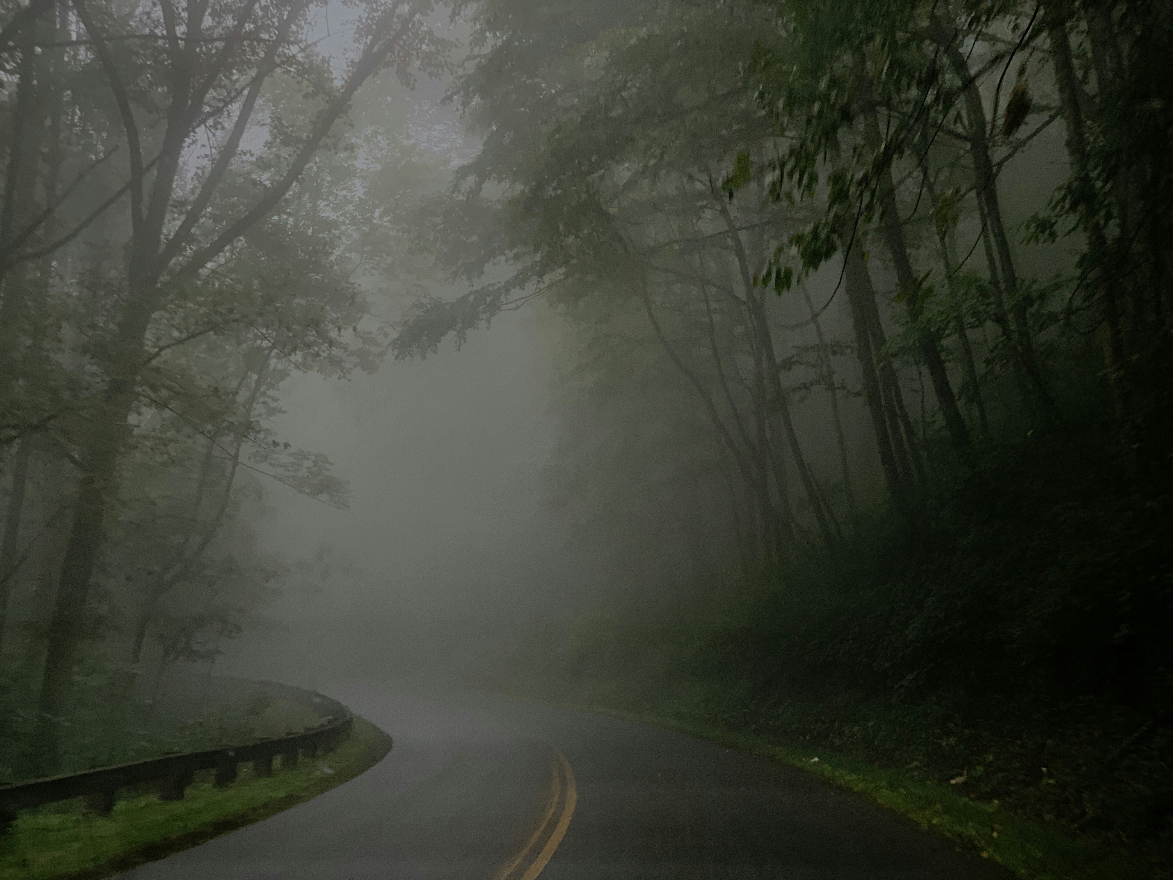 Photo by jackieoco13