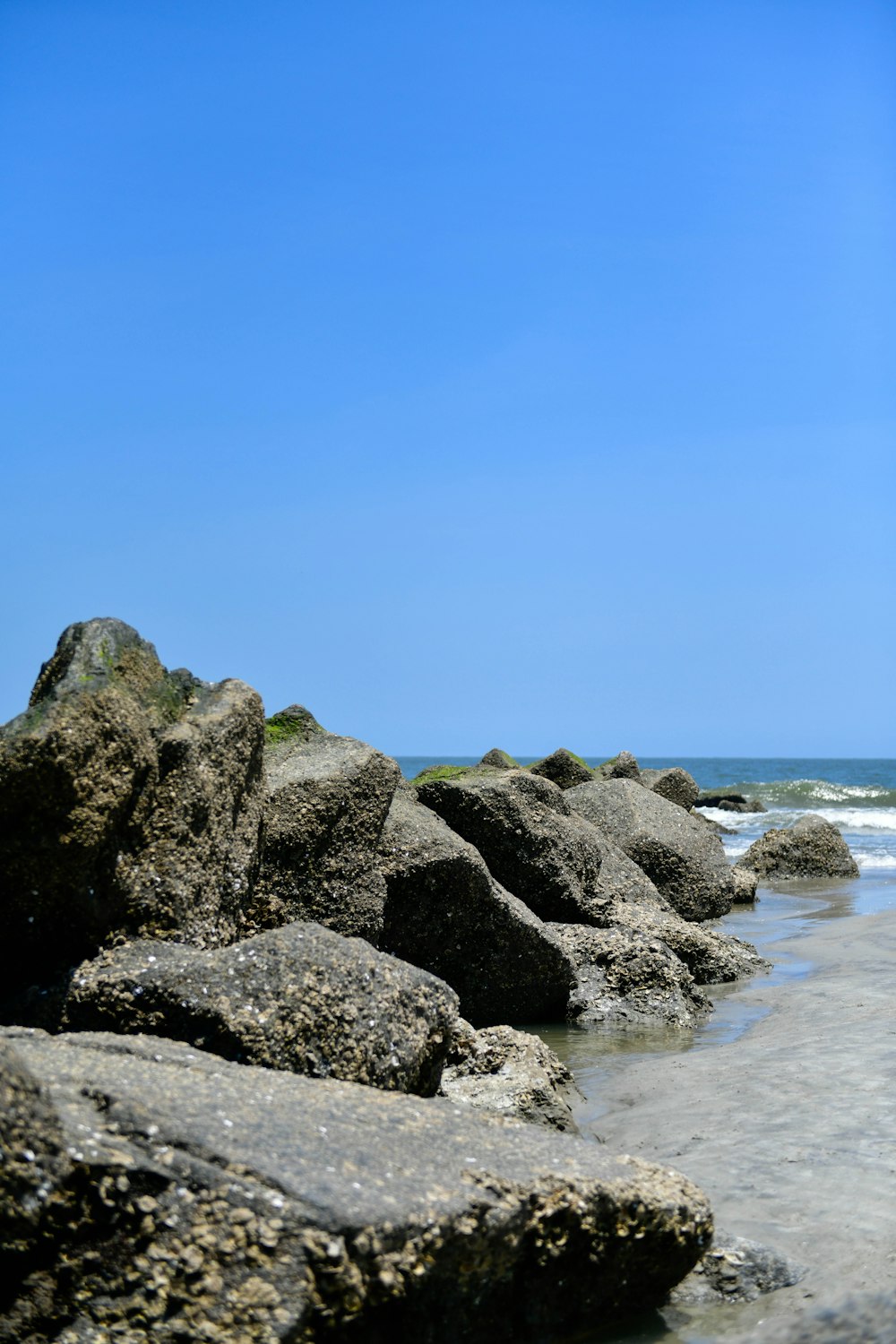 una persona in piedi su una spiaggia con una tavola da surf