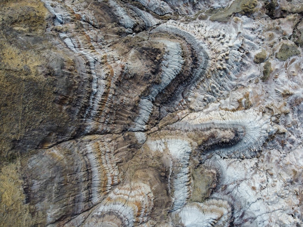 Un primer plano de una roca con un patrón en ella