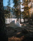 A rustic camping tent nestled among tall trees with soft morning light filtering through.
