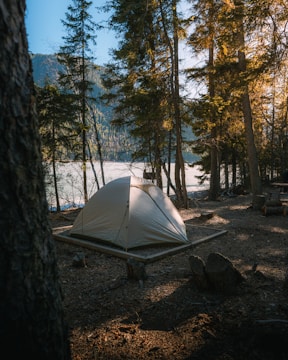 A camping tent is set up in a forested area, surrounded by tall trees with sunlight filtering through. The scene overlooks a serene body of water and distant mountains. Shadows and natural light create a peaceful, secluded atmosphere.