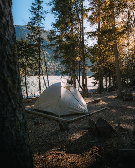 A camping tent is set up in a forested area, surrounded by tall trees with sunlight filtering through. The scene overlooks a serene body of water and distant mountains. Shadows and natural light create a peaceful, secluded atmosphere.