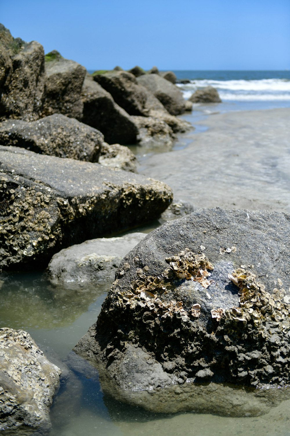 um close up de rochas em uma praia perto do oceano