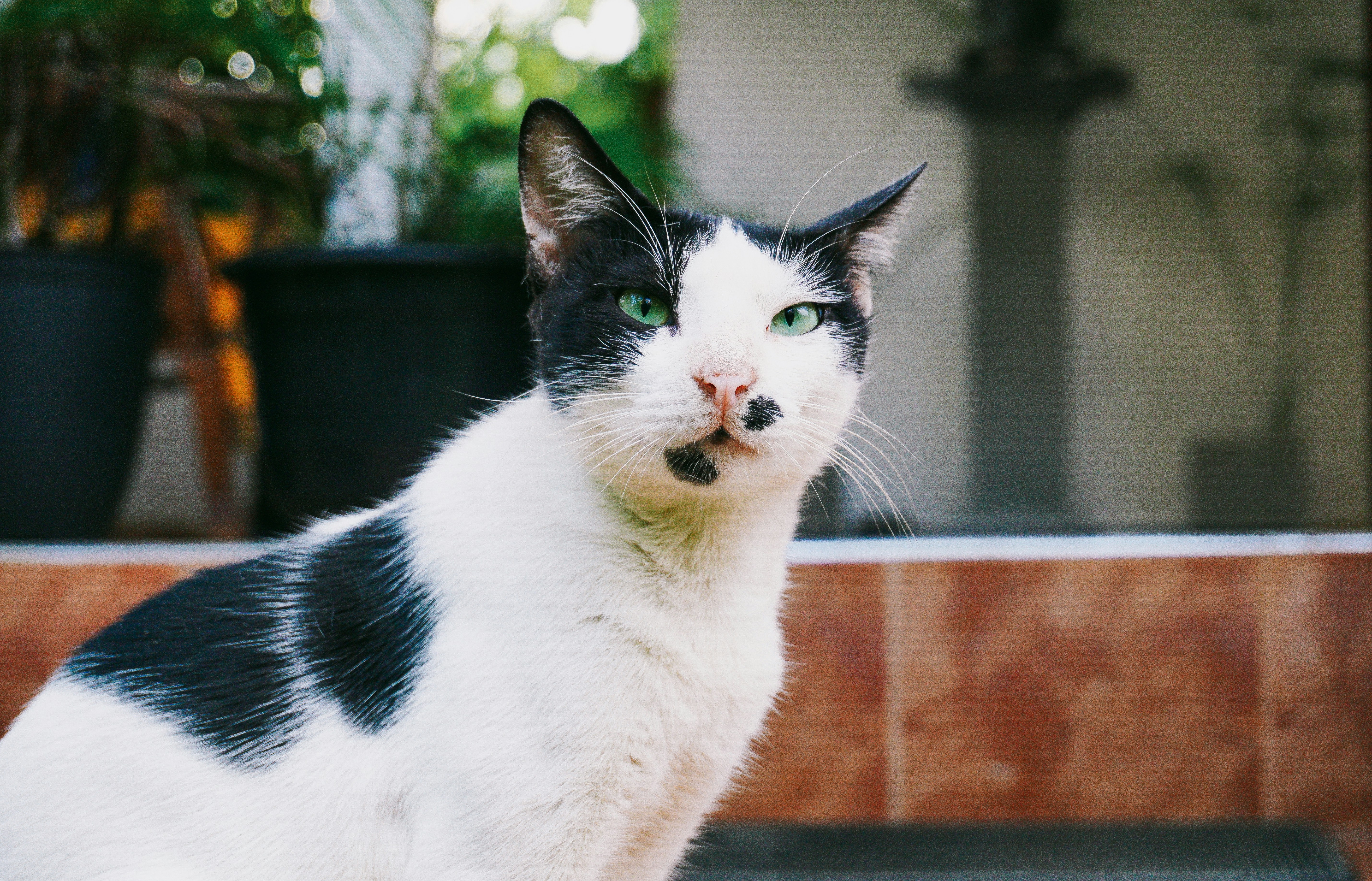 Photo by thaprobanana