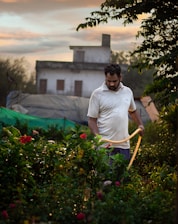 A person is standing in a garden, watering plants with a hose. The garden is lush with various plants and flowers, and there's a house visible in the background. The sky is partly cloudy, adding a serene atmosphere to the scene.