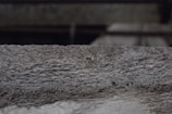 A textured concrete surface with visible roughness and small granules. The background is blurred, suggesting an industrial or urban setting.