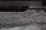 Detail of a textured epoxy floor coating in a small business setting.
