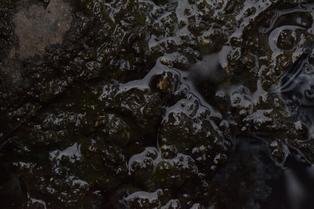 a close up of rocks covered in water