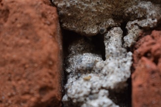 A close-up of unique building materials and textures.