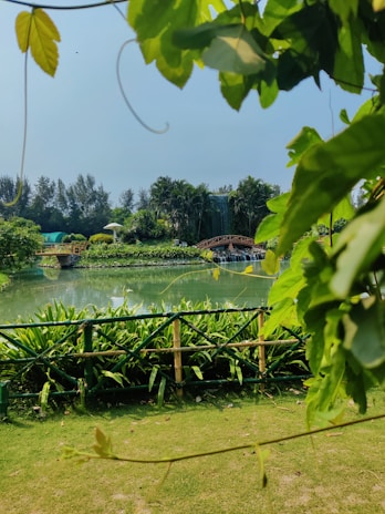 A tranquil garden area at a lodge.