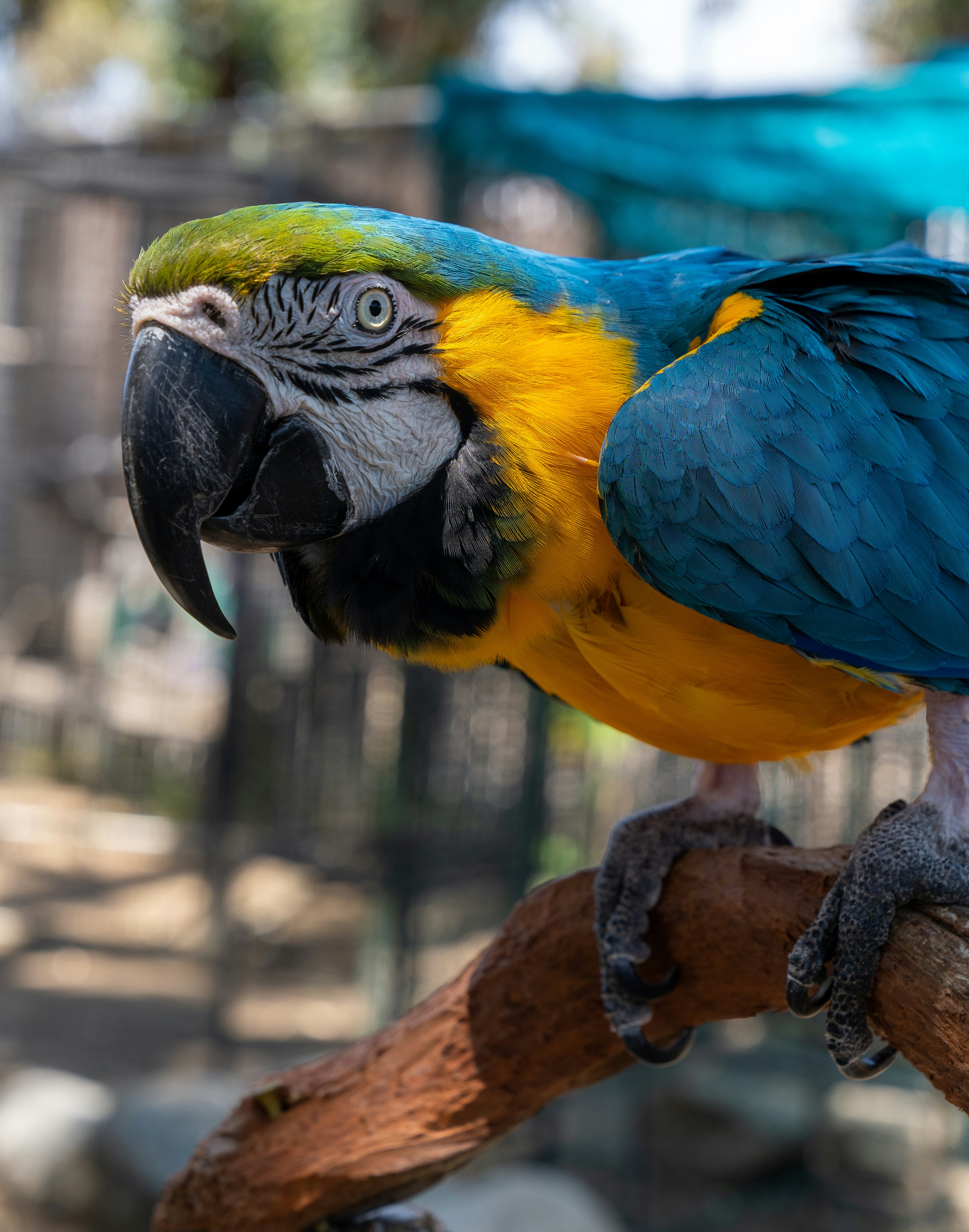 Photo by charlesshaffer17