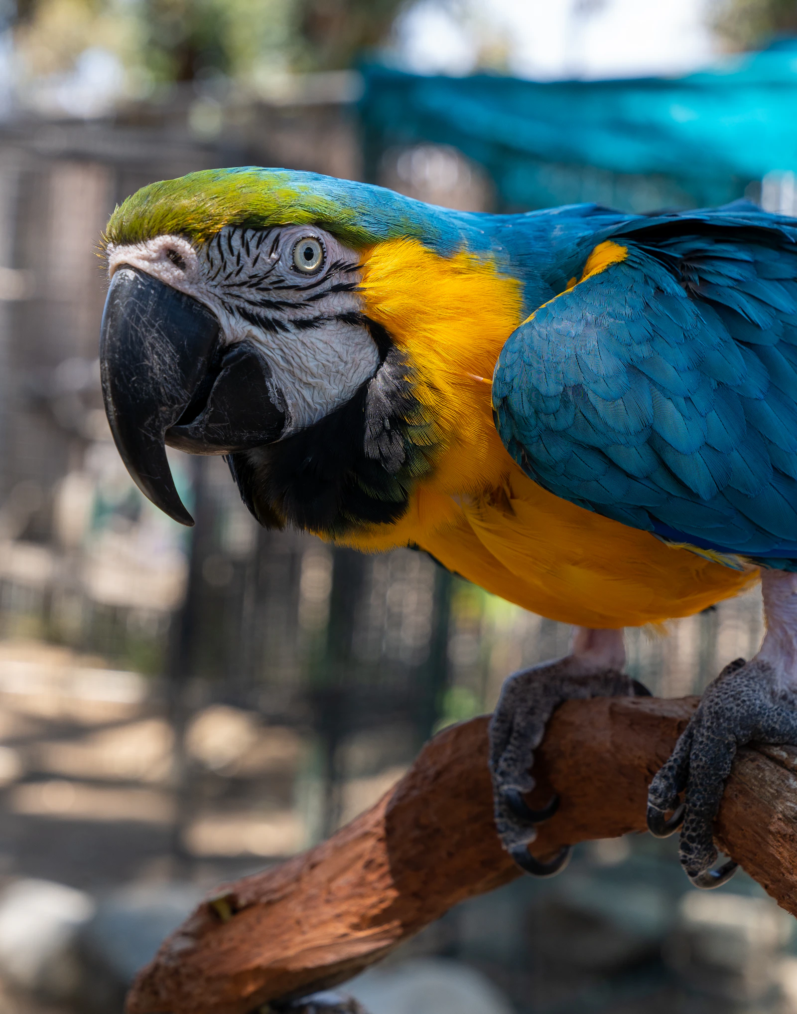 Tambopata — Peru travel destination