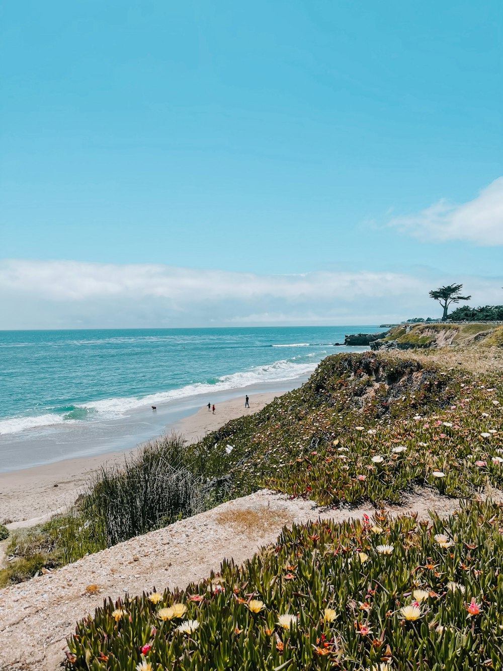 a view of a beach with people walking on it