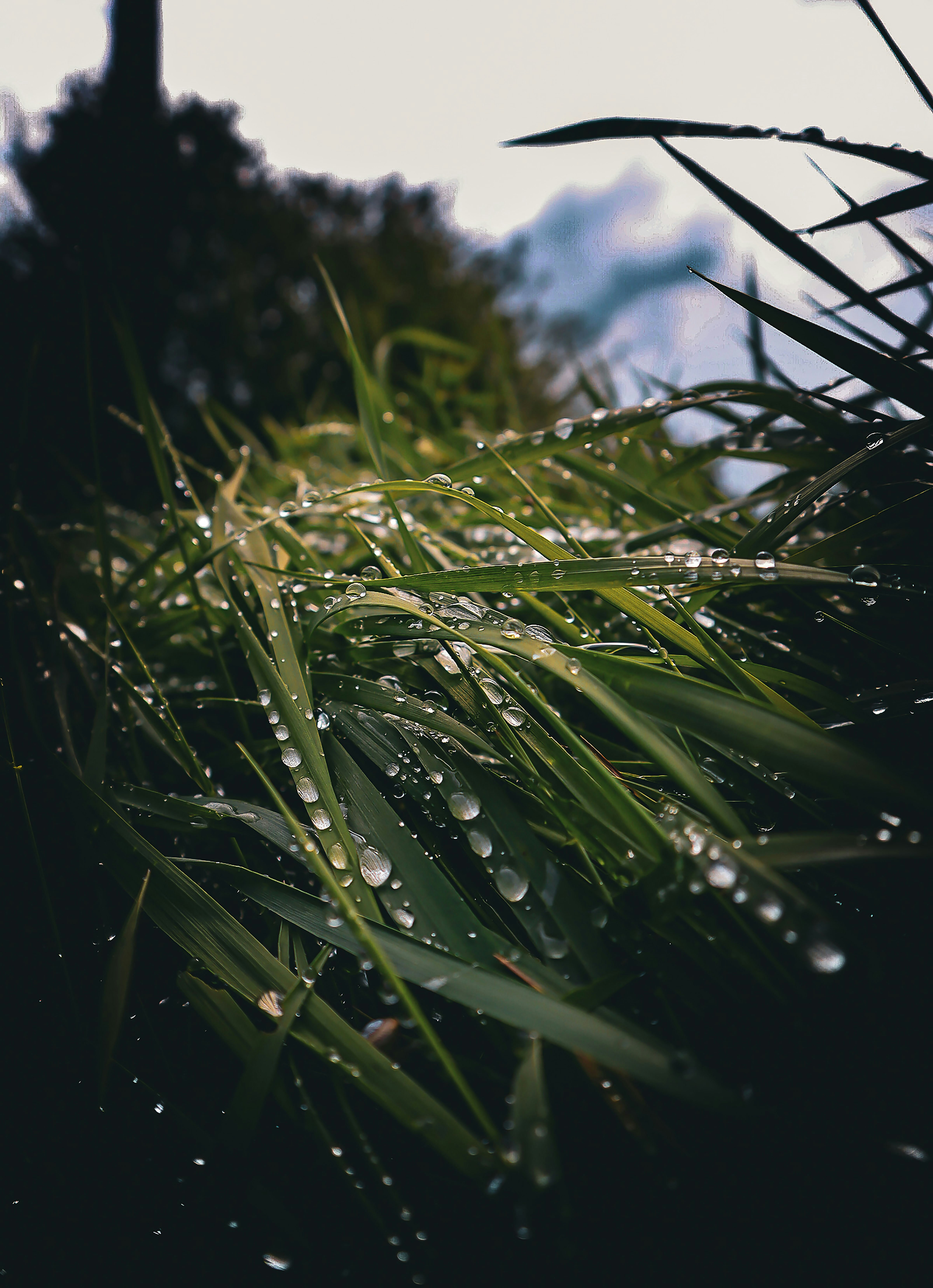Photo by kubliz
