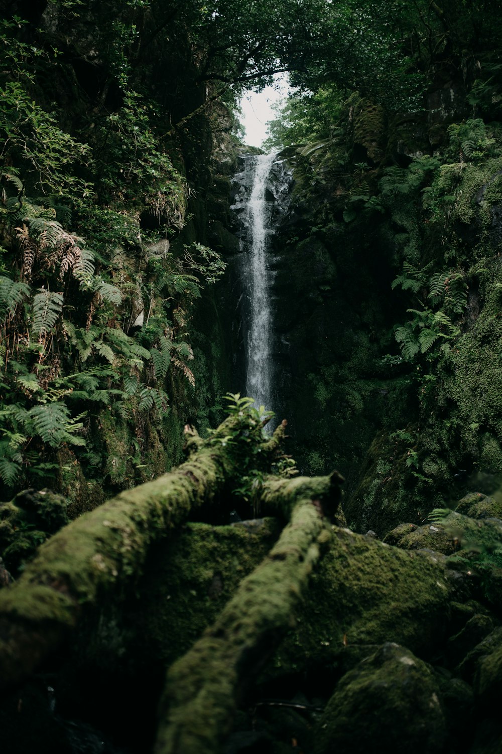 a very tall waterfall in the middle of a forest