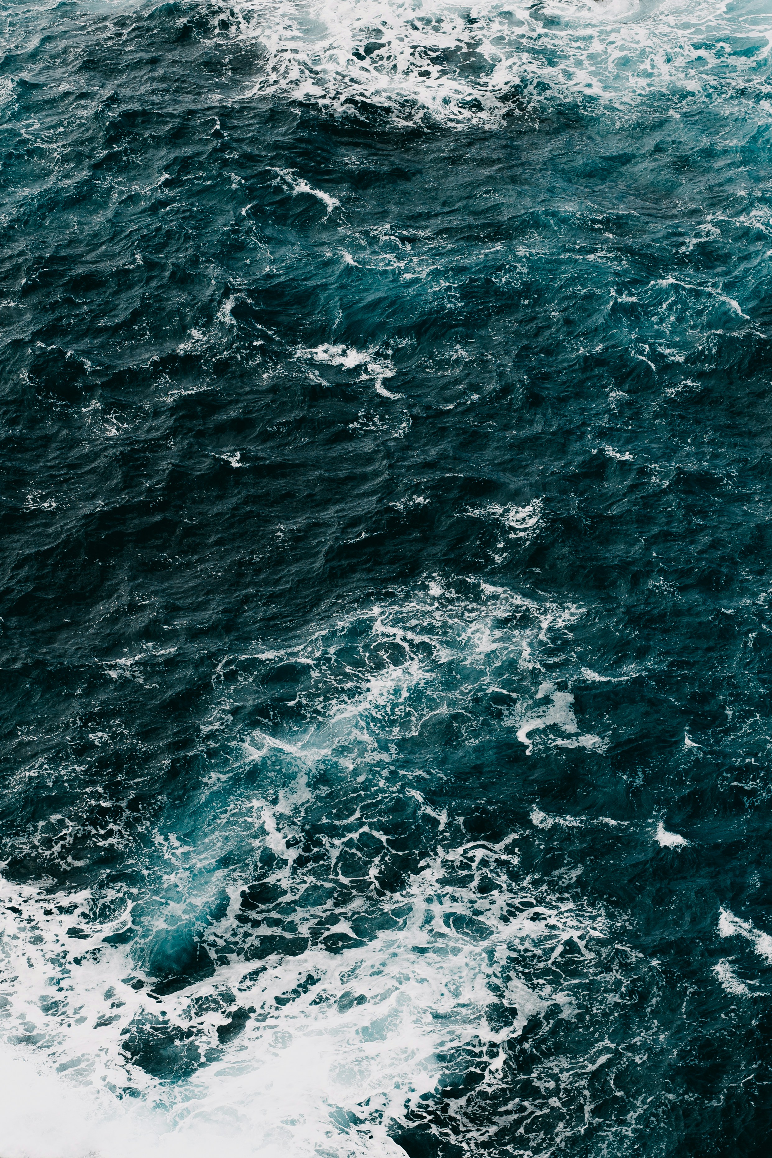 Photo by barnikakovacs