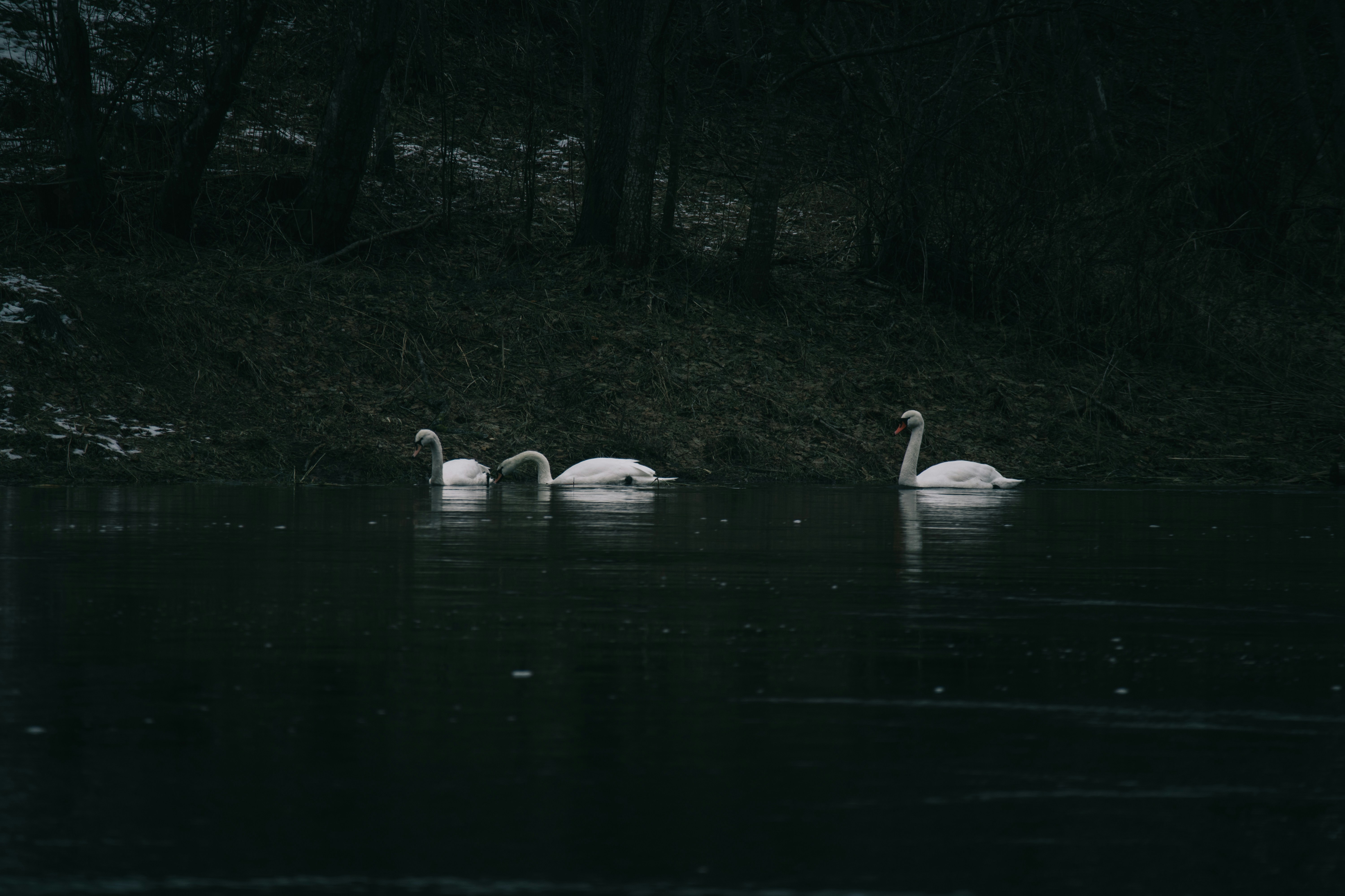 Photo by kubliz