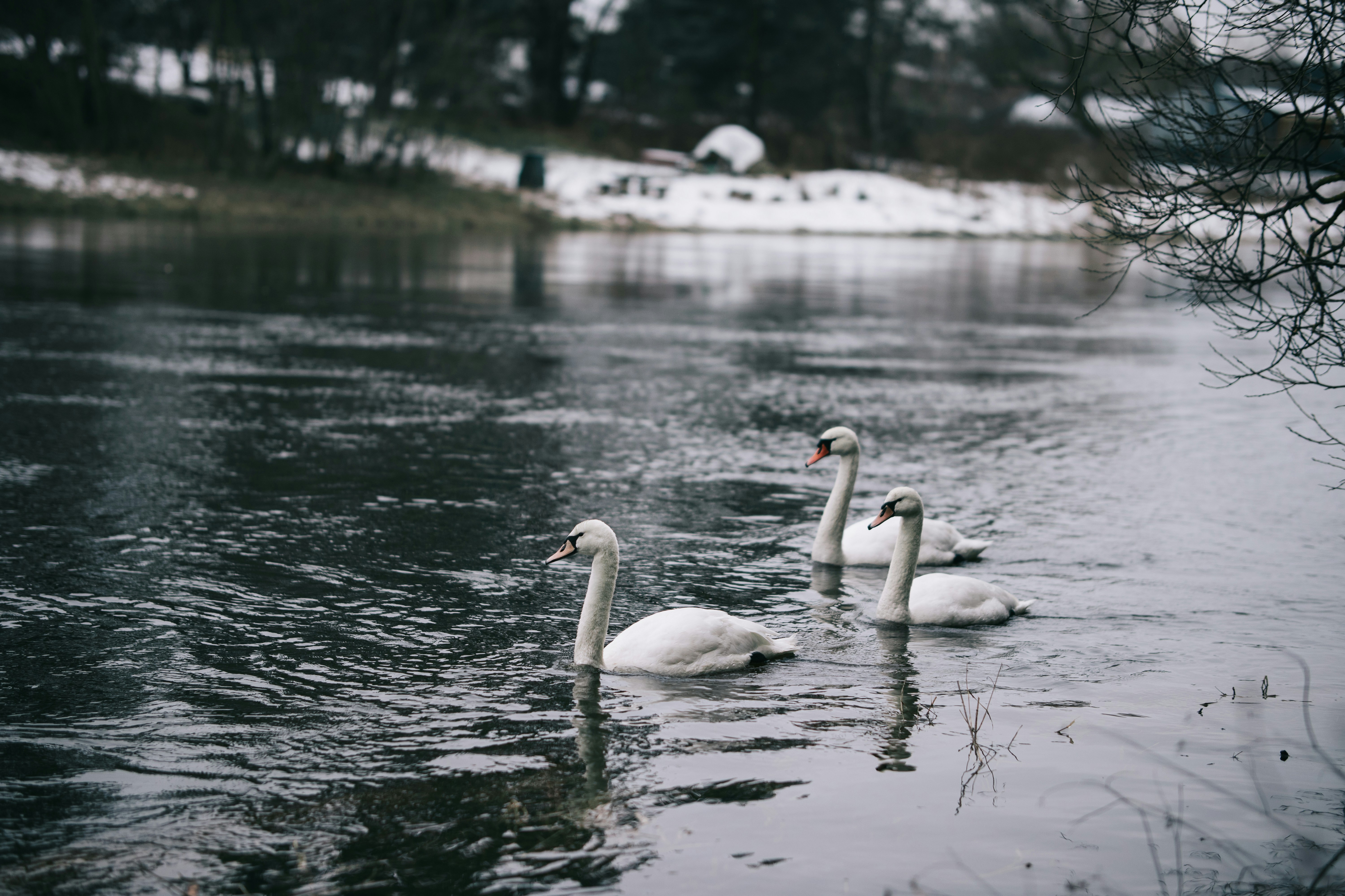 Photo by kubliz