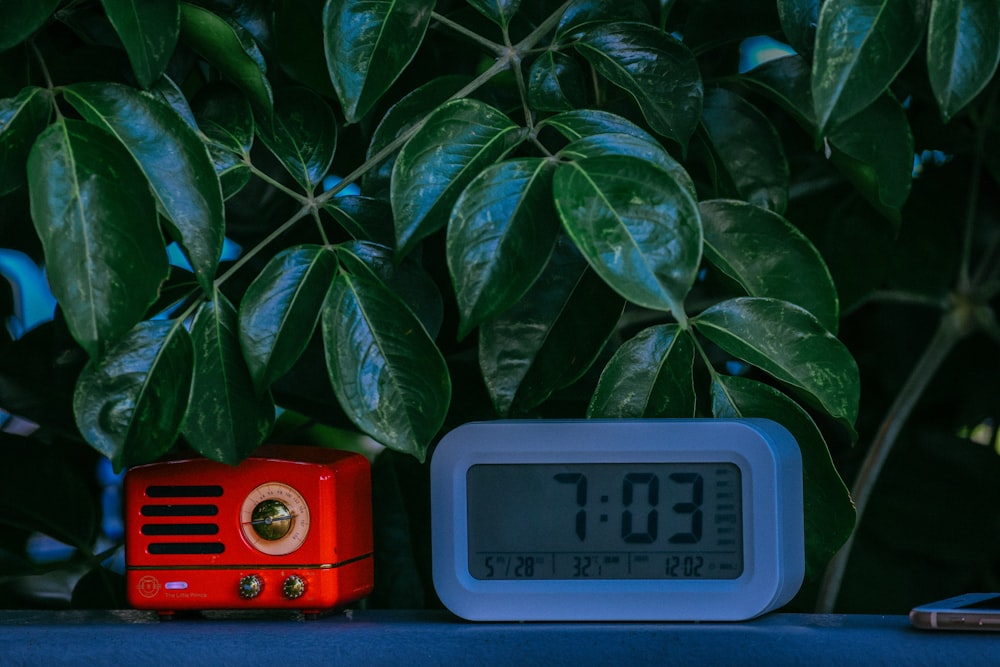 a red alarm clock sitting next to a green plant