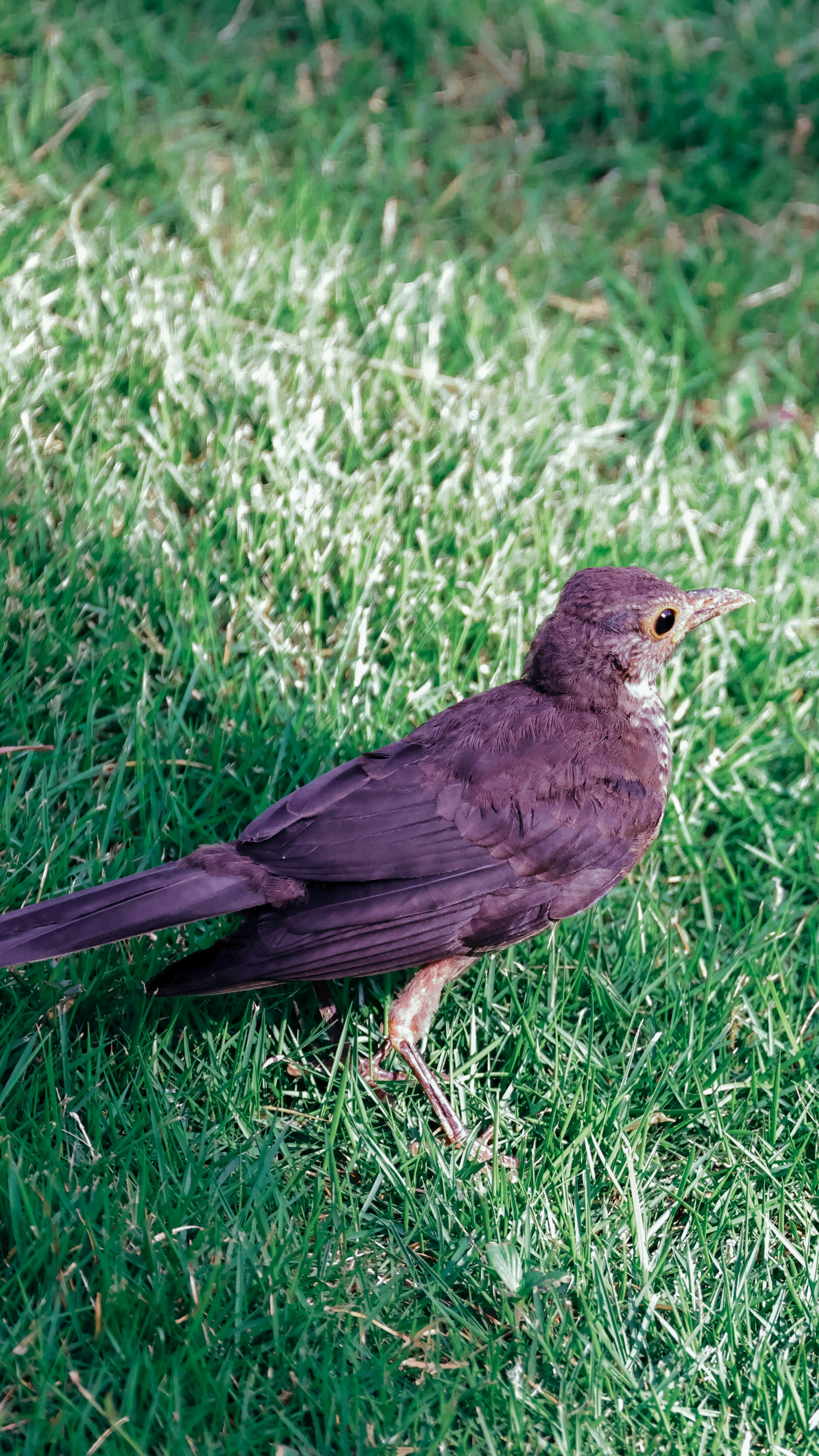 Photo by dickenslin76