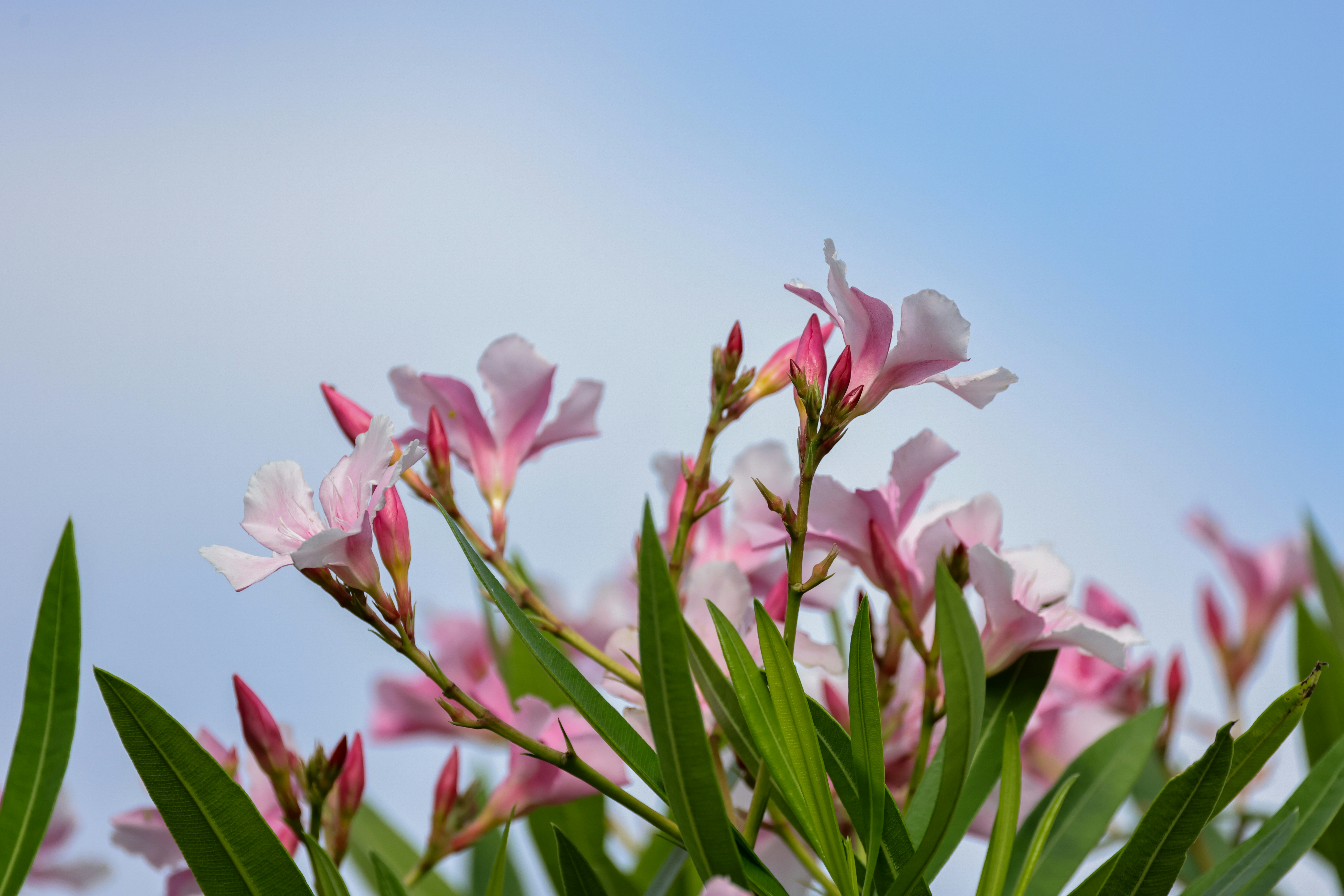 Photo by dickenslin76