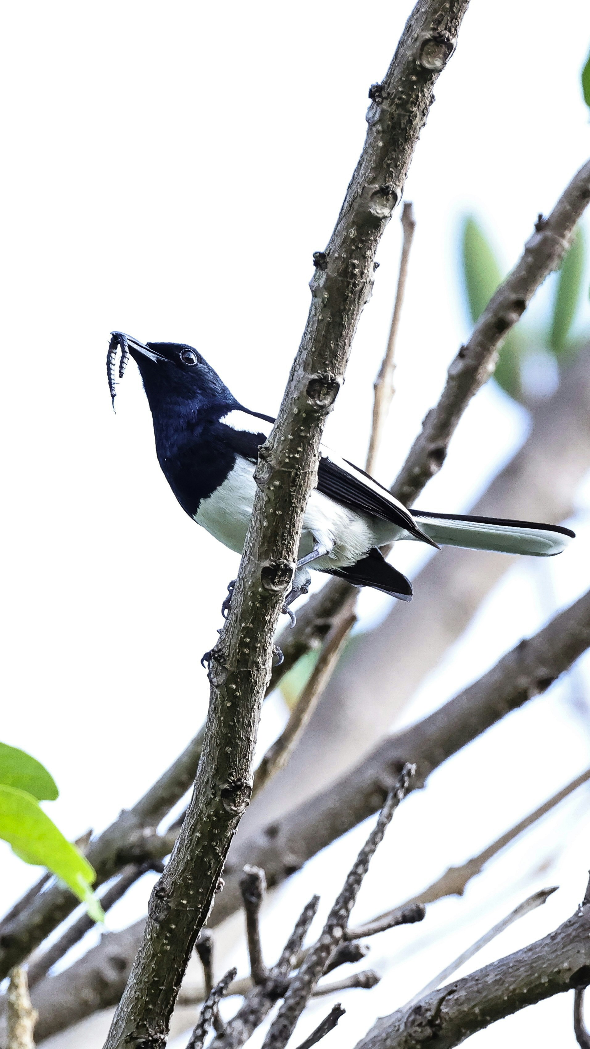 Photo by dickenslin76