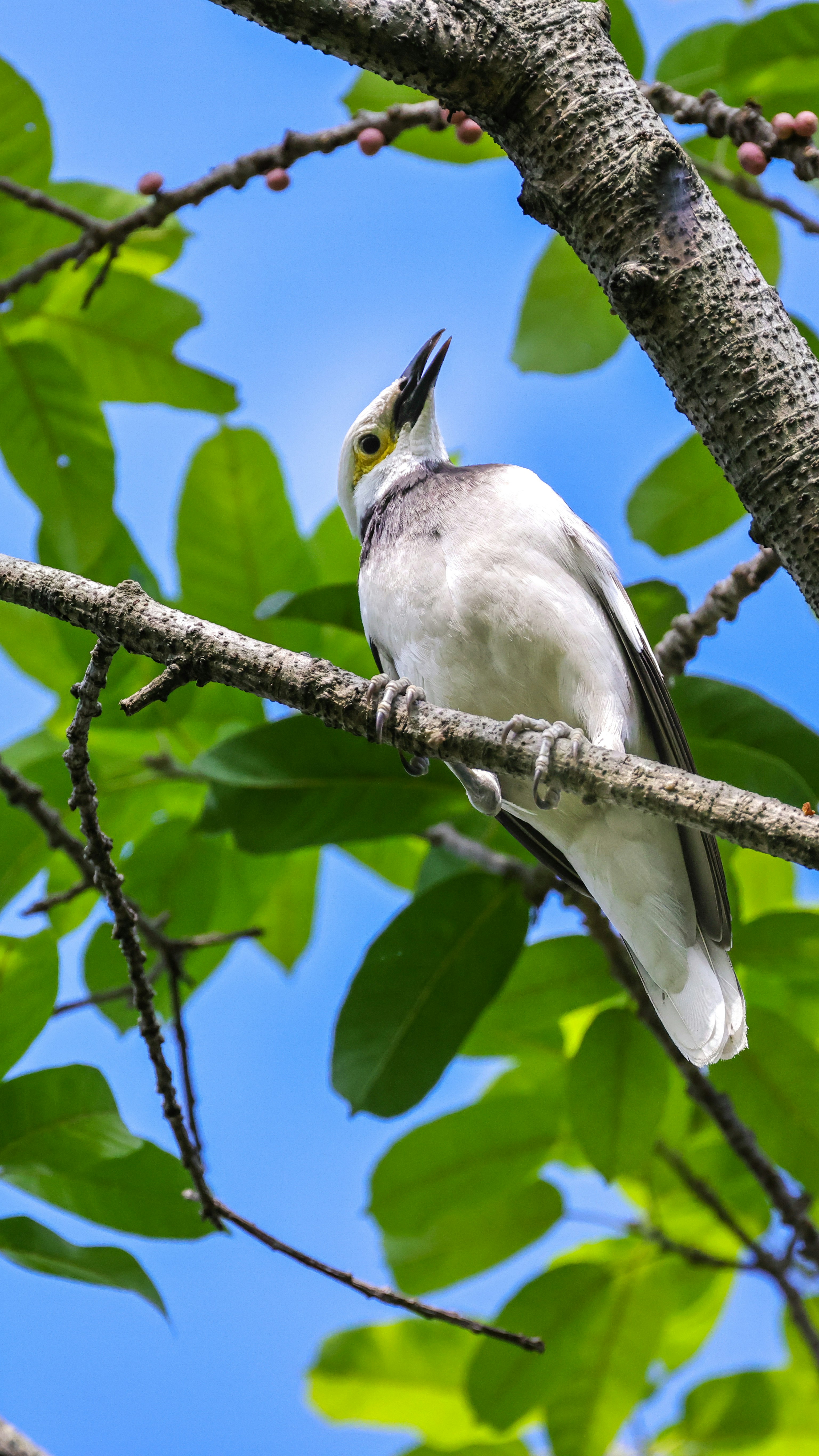 Photo by dickenslin76