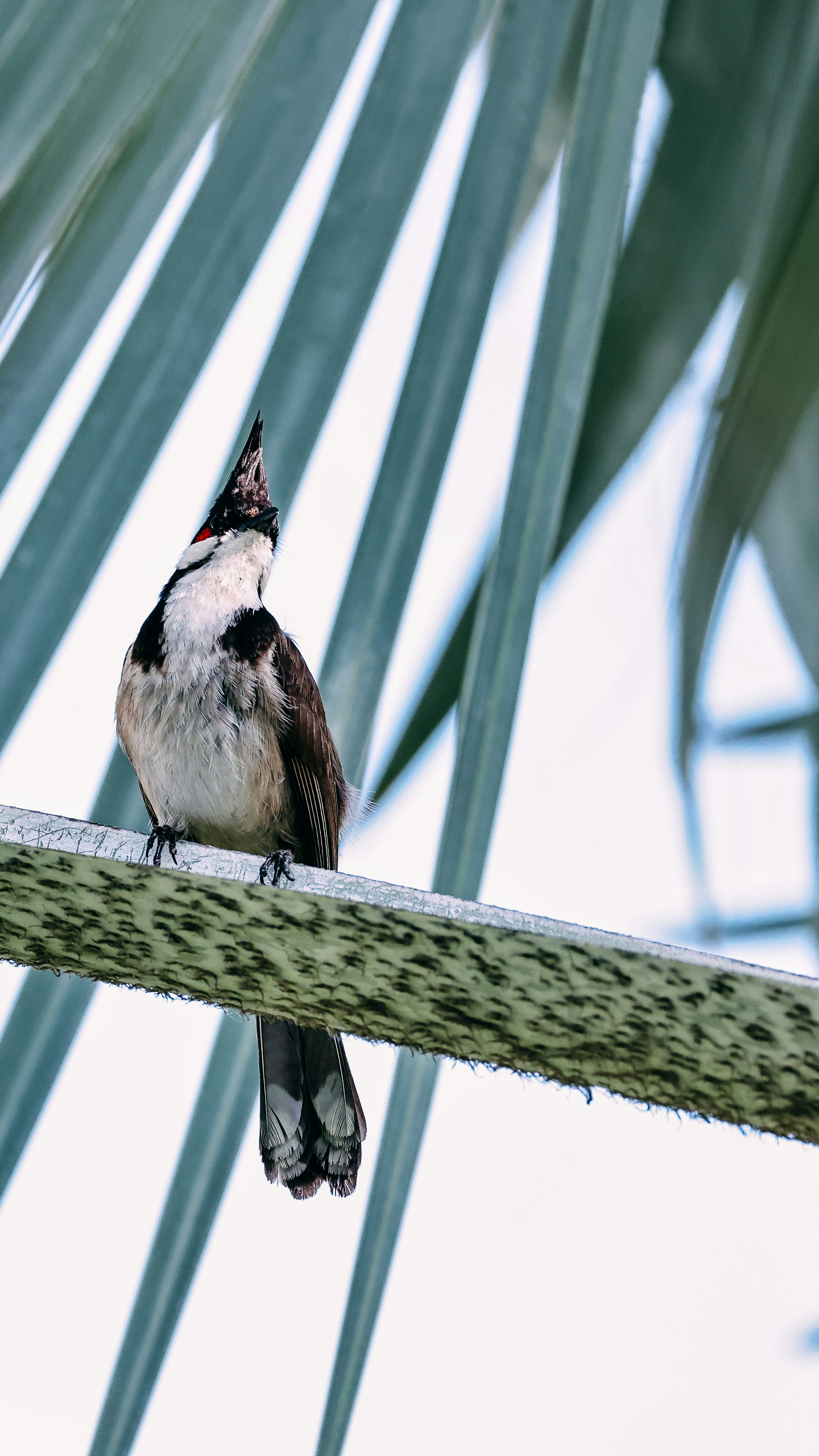 Photo by dickenslin76