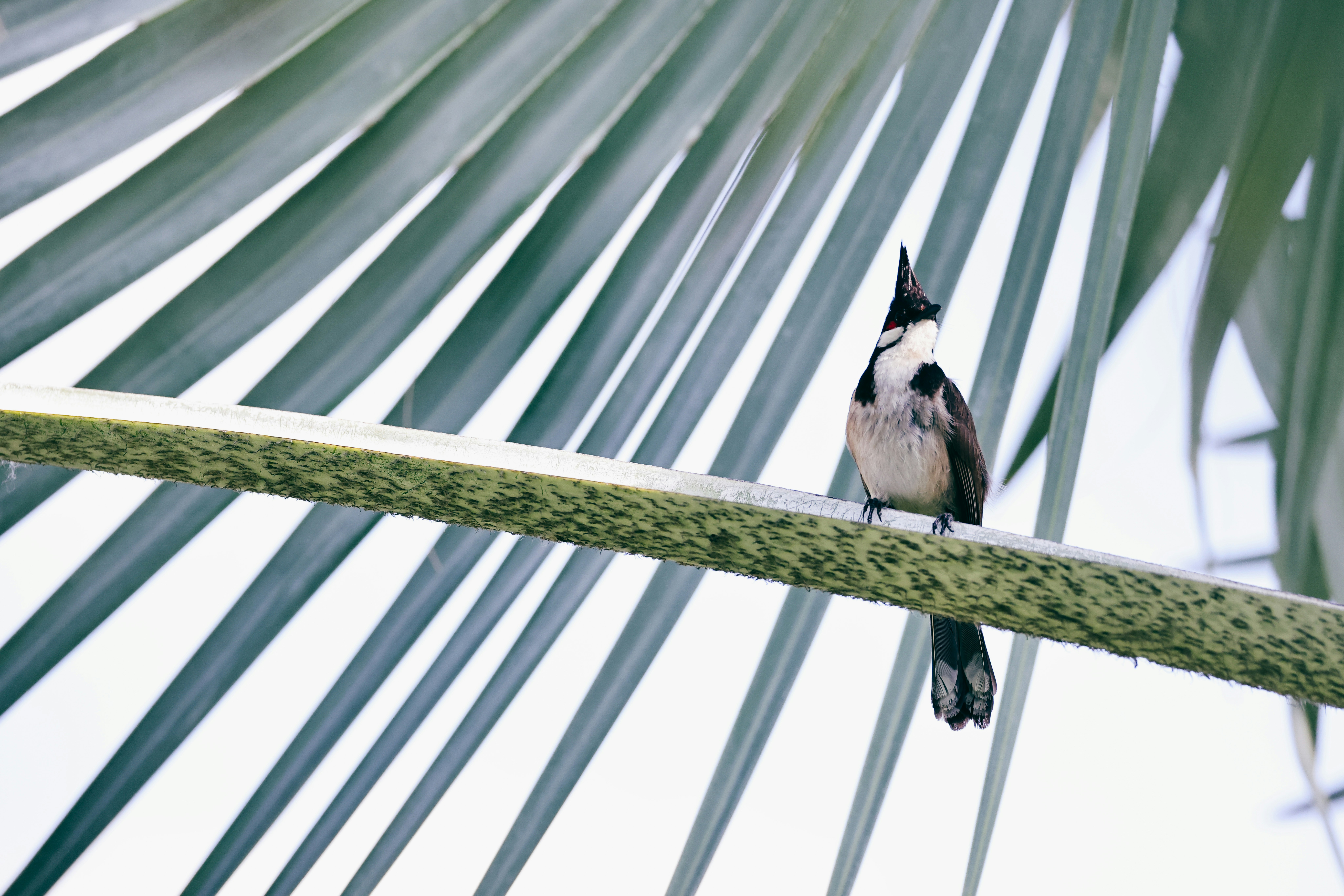 Photo by dickenslin76