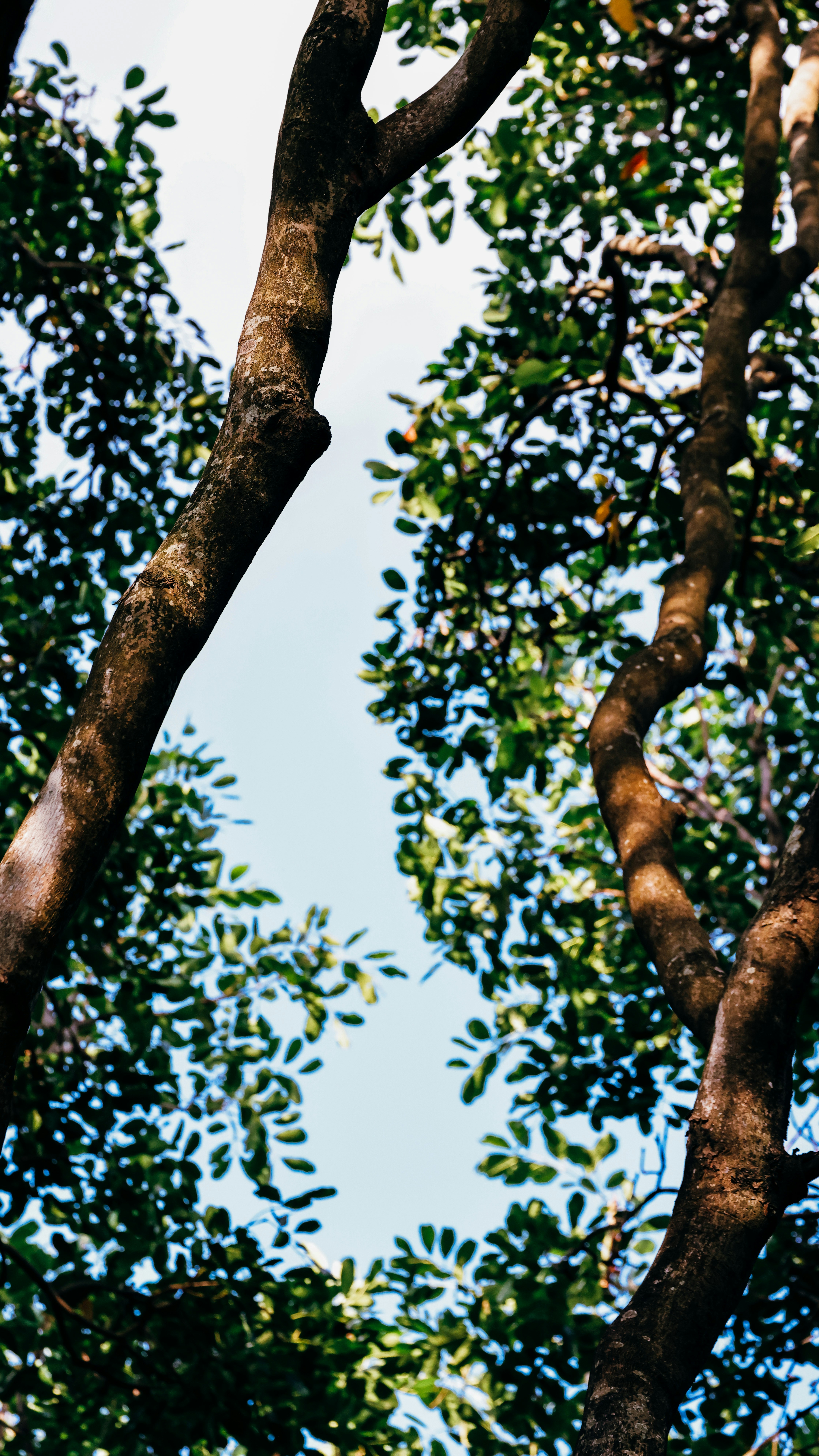 Photo by dickenslin76